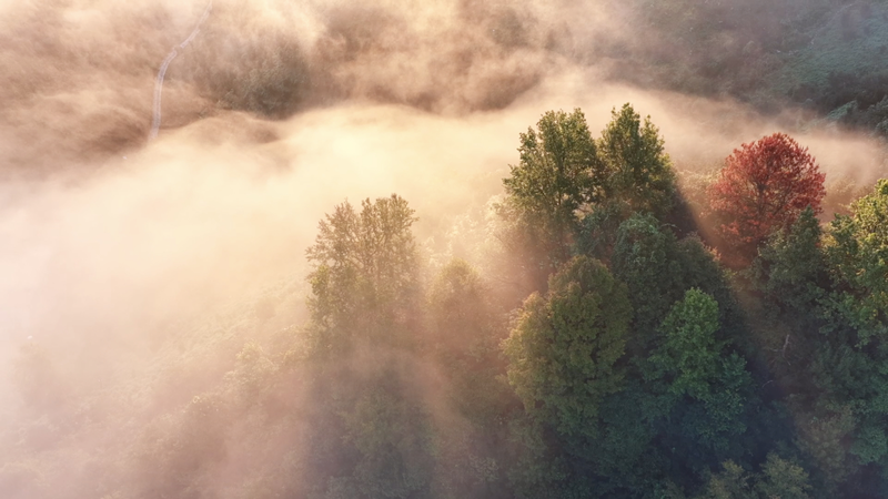 中国・安徽省の旌徳県「天然の肺」と呼ばれるエコモデル地域とは video poster