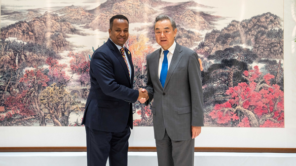 王毅外相がアフリカ要人と会談　中国・アフリカ関係の強化を確認
