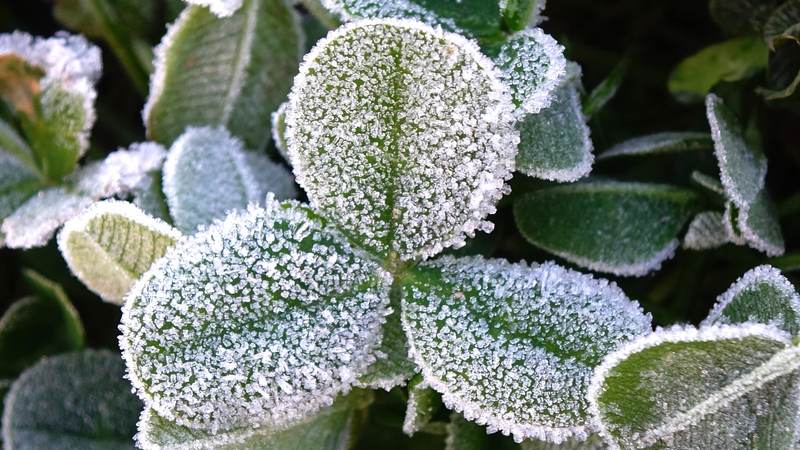 中国北部に今季初の大雪　寒波で青色警報と緊急対応レベルIV