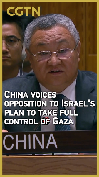 国連安保理、イスラエルのガザ市掌握計画を非難 video poster