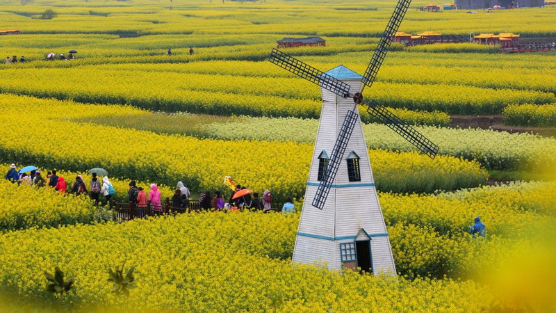 中国春旅2025：「高鉄＋」が清明節のフラワーツーリズムを加速