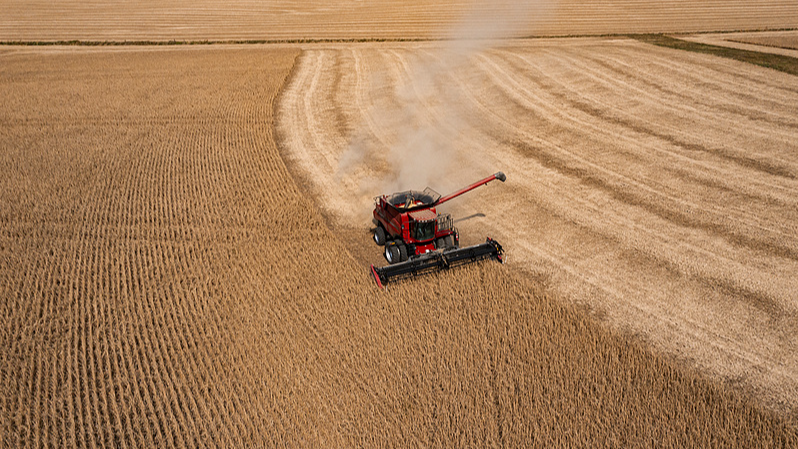 米中貿易戦争で追い詰められる米大豆農家　トランプ支持者が取引を懇願