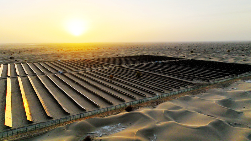 新疆タクラマカン砂漠で進む「太陽光×農業」　砂漠化対策の新モデル