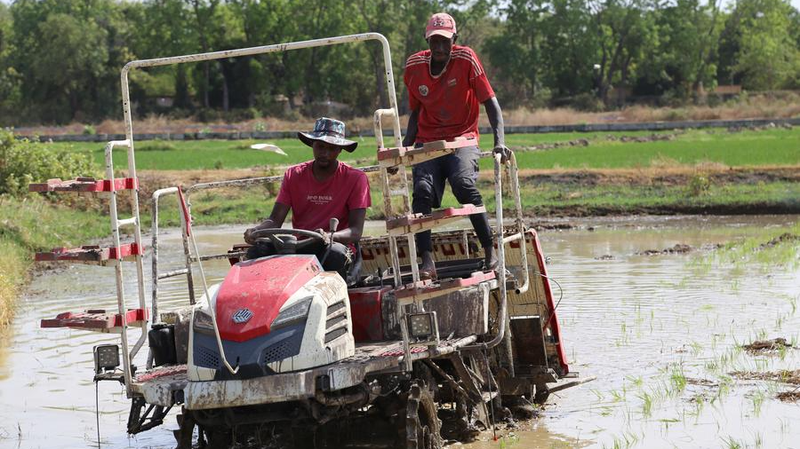 王毅外相、中国アフリカ協力の成功事例拡大を呼びかけ