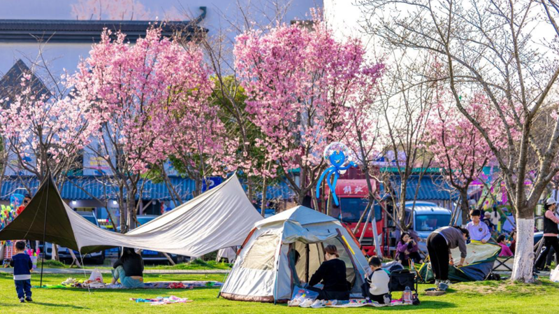 中国・平湖の桜観光シーズン　春の美しさで世界からゲストを迎える