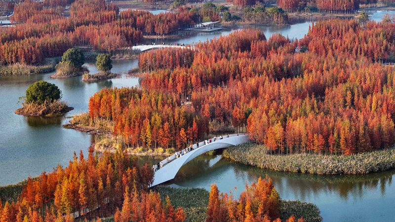 北京で習氏の自然資源談話を学ぶシンポ開催　党指導と人中心の発展を強調