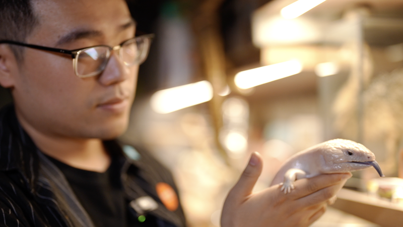 北京出身のユキがつなぐ「怖い」と「好き」　爬虫類教育という挑戦 video poster