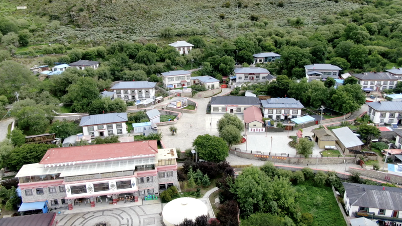 シーザン自治区ガライ村、桃の花が映す新しい豊かさ video poster