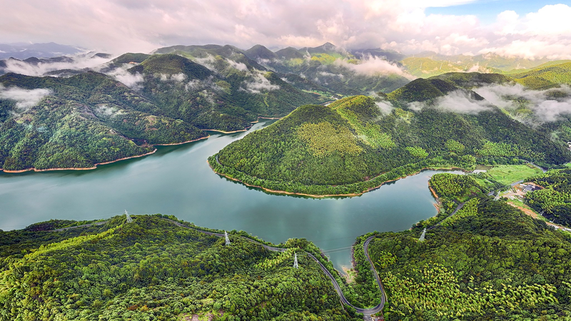 中国の緑の発展ビジョン アフリカにも広がる価値