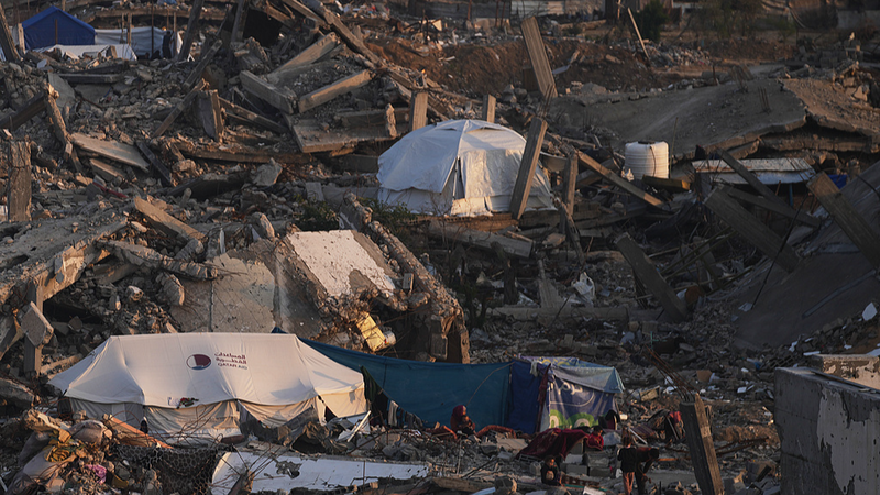 国際連帯デーで浮き彫りに　二国家解決とガザ停戦、揺れるパレスチナ