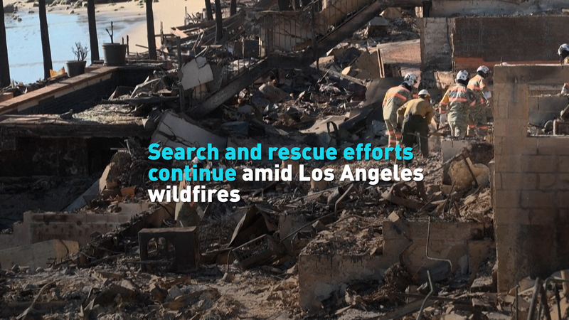 ロサンゼルス山火事から1週間　続く捜索・救助と広がる被害 video poster