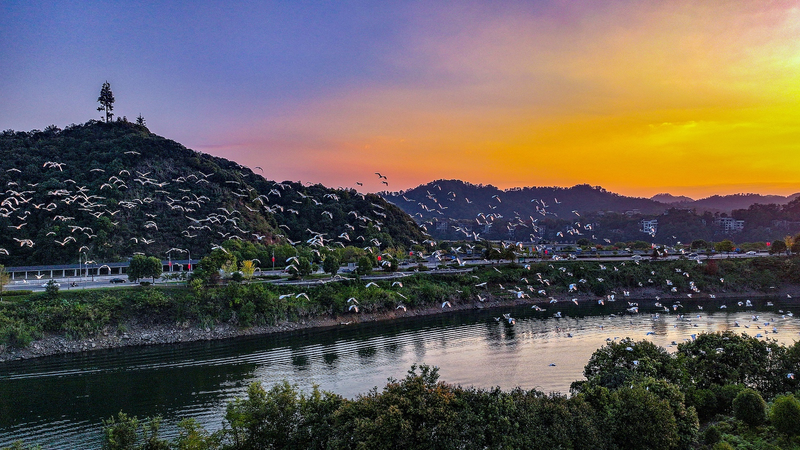 ユネスコ世界生物圏保存地域会議、杭州で初のアジア開催へ video poster