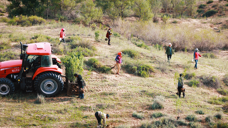 Mu Us砂漠の緑化: 陝西省の住民が砂漠化と闘った数十年
