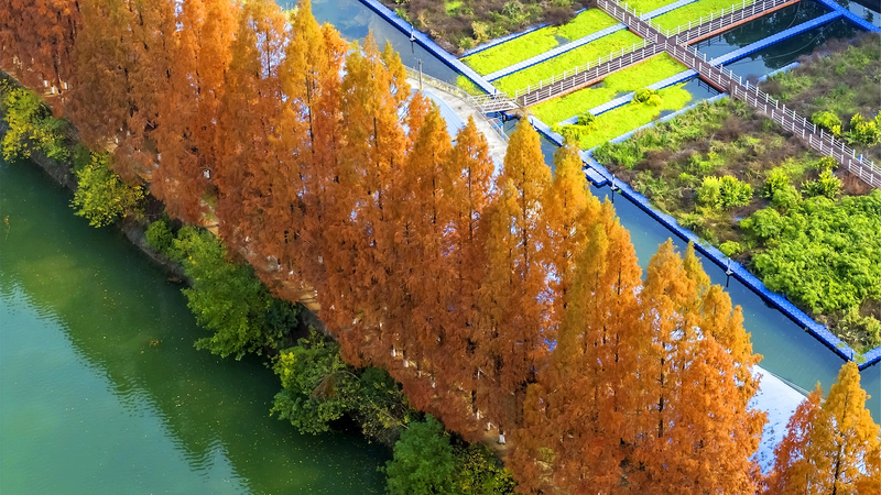 中国で生態環境モニタリング新規制　2026年1月施行へ