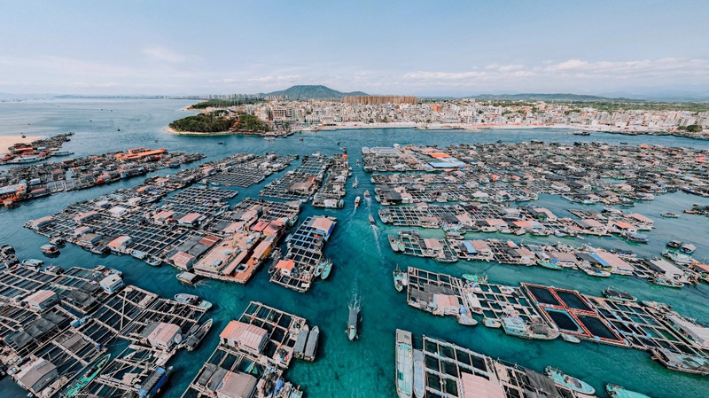 海南省の浮かぶ迷路 タンカが守る500年の漁村文化