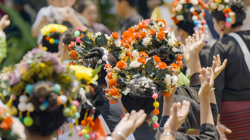 Jingmai山の古茶林　5つの民族が紡ぐお茶と共生の物語