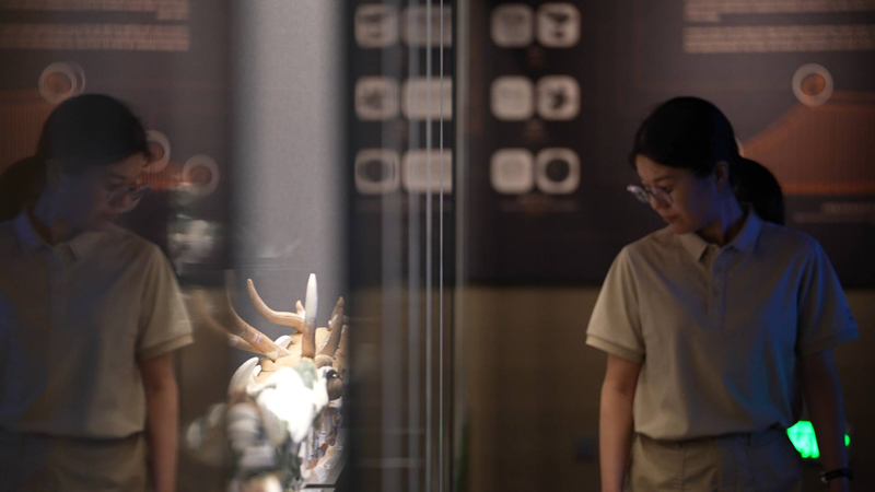 中国の「オリエンタル・ピラミッド」西夏王陵が語る消えた帝国 video poster