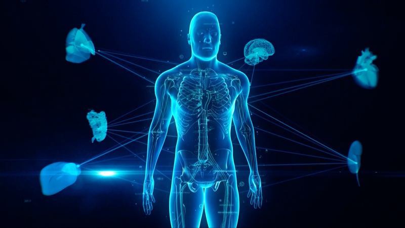 中国の「ヒト細胞系譜」研究　生命・病気・老化に挑む新プロジェクト video poster