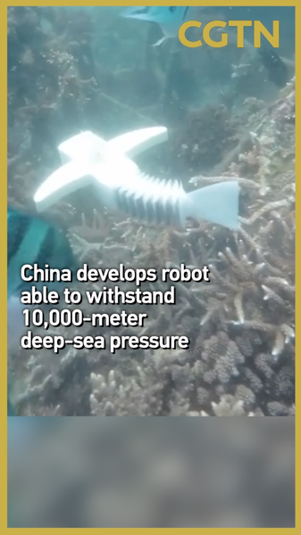 中国・ハルビン工程大学が深さ1万メートルの圧力に耐える深海ロボットを開発 video poster