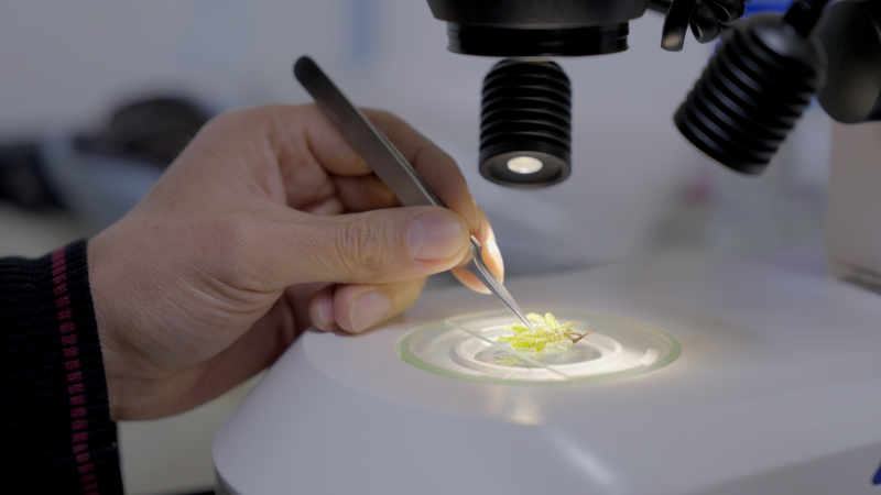 コロンビア研究者が守るアマゾンの植物　国際ニュース解説 video poster