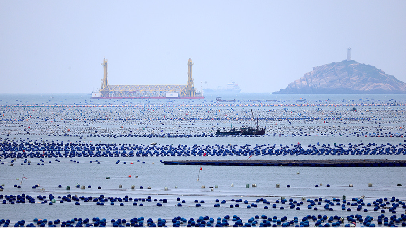 ブルーカーボンは気候変動対策の秘密兵器か