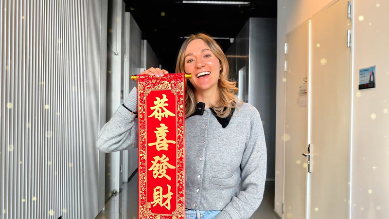 中国北部の干支信仰「ヘビとウサギ」の幸運とヘビ年の願い video poster