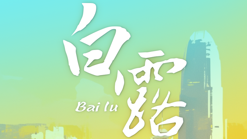 白露が照らすカイタックの中国武術演武　第15回全国運動会の動と静