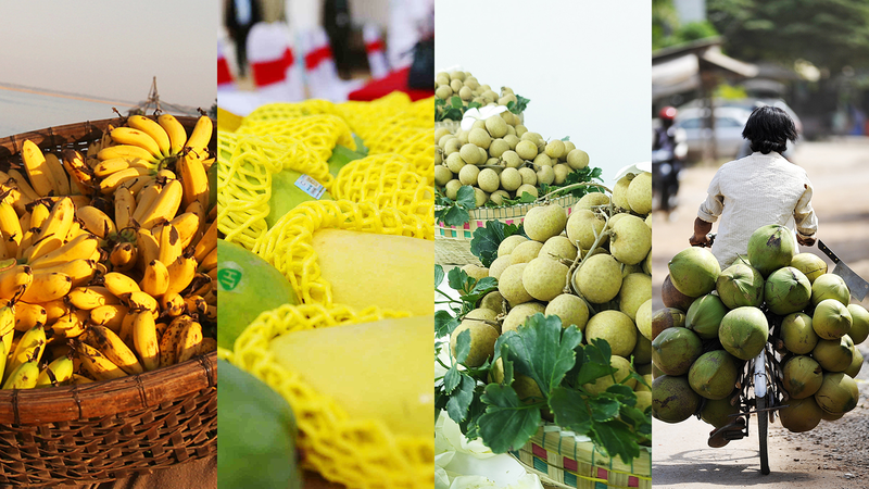 中国本土で人気高まるカンボジア産フルーツ　広がる両国の経済的つながり