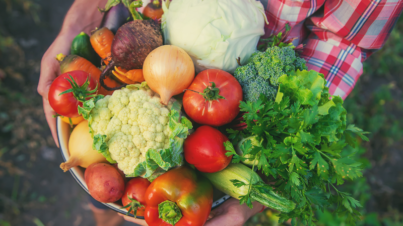 中国がスマート船上農場を公開　遠洋勤務者に新鮮野菜の選択肢