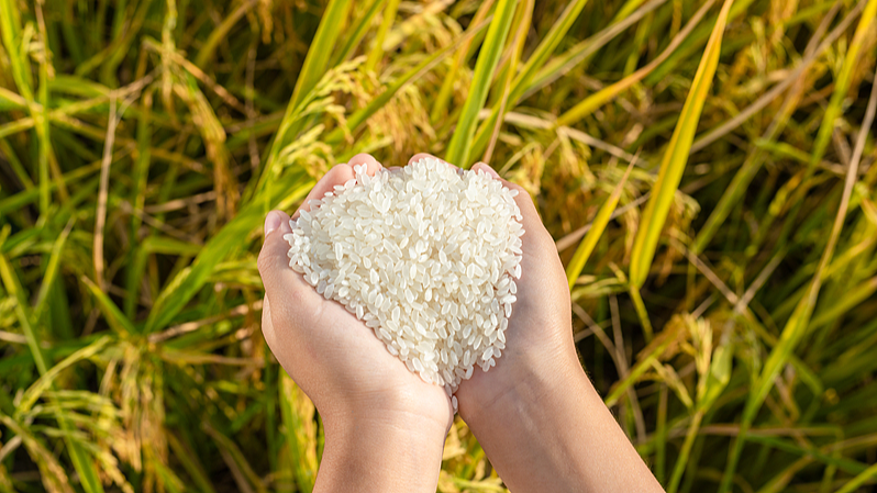 中国本土が食料ロス削減行動計画　2027年までに国際平均以下を目指す