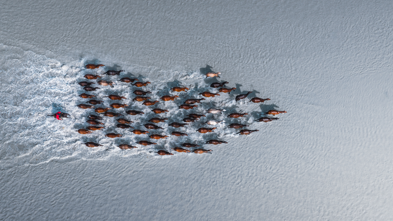 国連80周年と若者のまなざし 「One Home: Shared Future」から見える未来