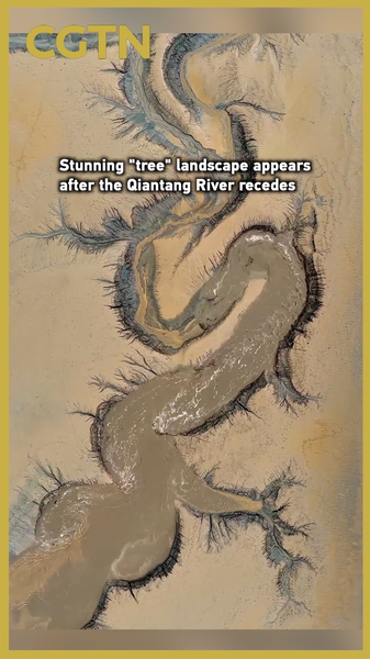 銭塘江が引いたあとに現れた「巨木」模様　空から見える幻想的な景観 video poster