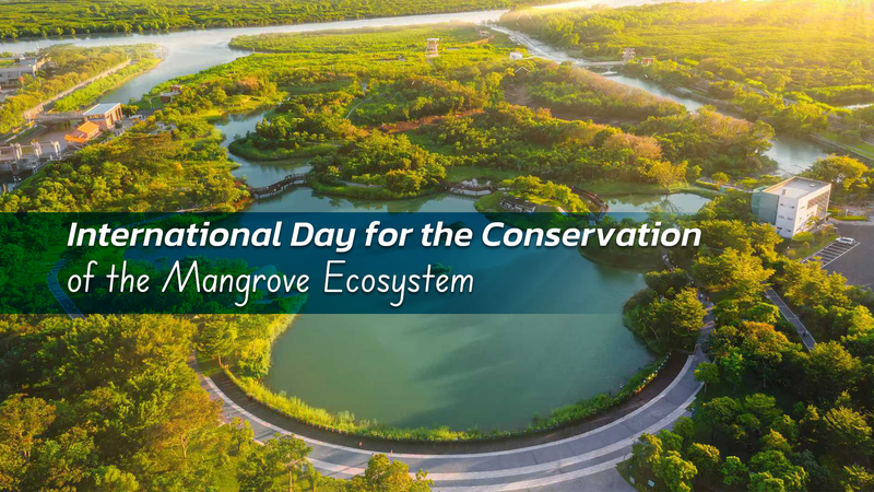 マングローブを守るブルーカーボンの盾　国際デーから考える海の未来