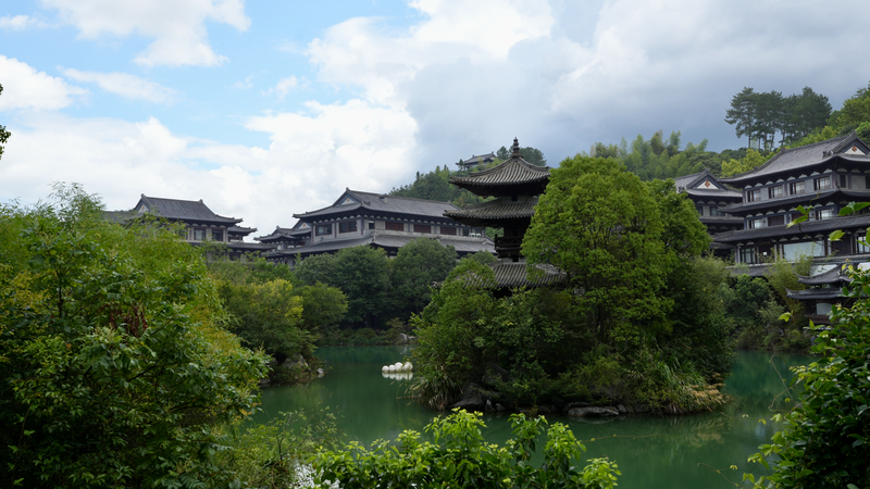 中国・浙江の根彫刻　捨てられた木の根が宝物になるまで