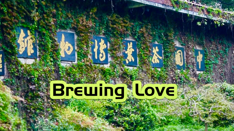 米国高官が中国国家茶葉博物館へ　一杯のお茶がつなぐ国際ニュース video poster