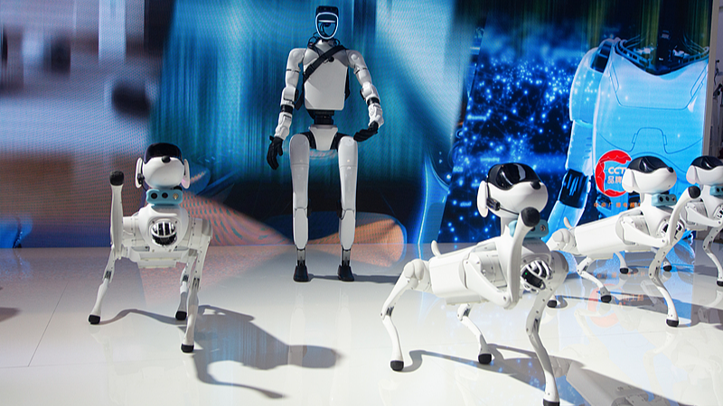 中国が提唱「AI＋国際協力イニシアティブ」とは　5つの行動軸を解説