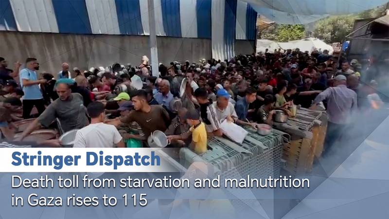 ガザ飢餓で死者115人に 人道危機深まる現地の声 video poster