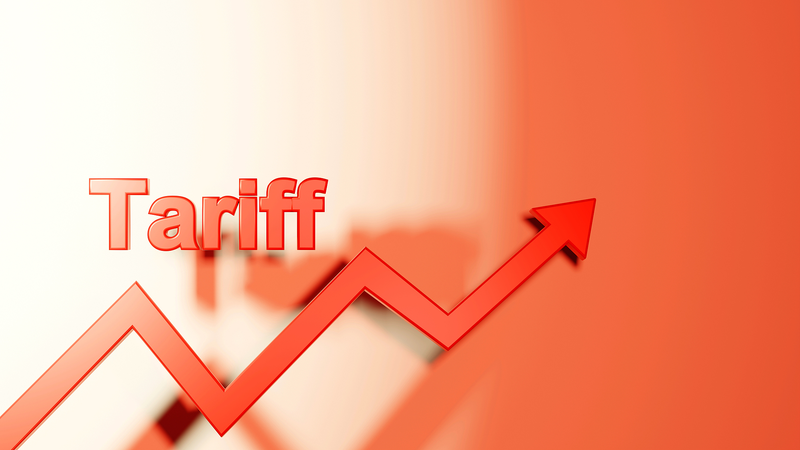 トランプ関税とボス猿政治：動物行動学で読む国際ニュース
