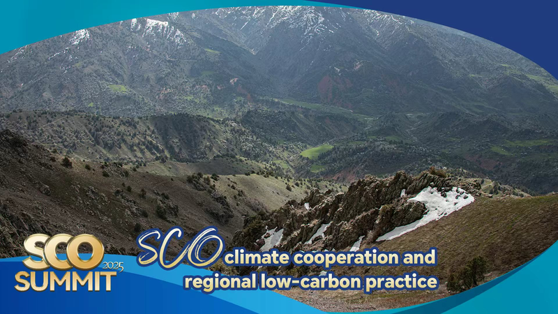 SCOの気候協力と地域低炭素化　塩害対策と防風林のモデル