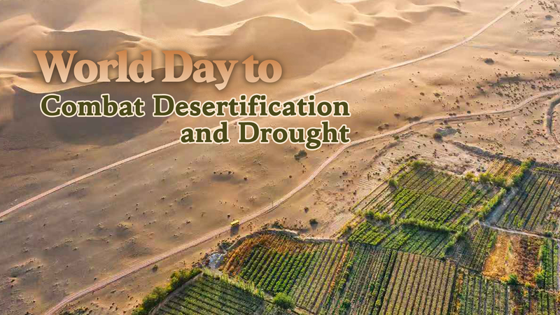 土地回復でひらくグリーンな機会　World Day 2025のメッセージ