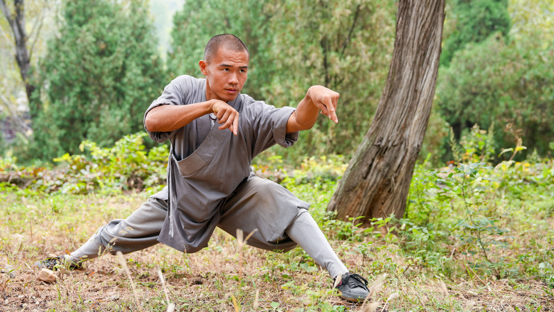 中国武術「動物模倣拳」とは　少林拳に息づく自然の知恵