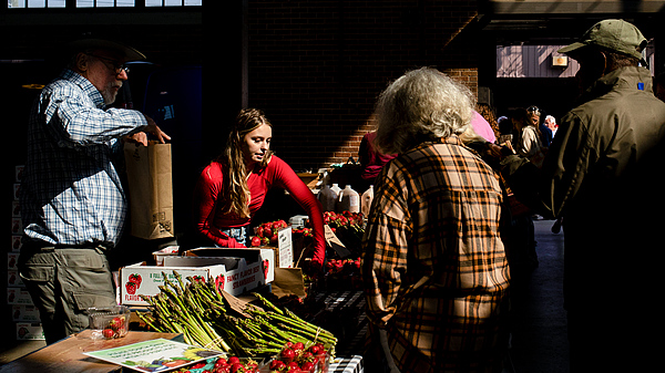 米ロサンゼルス港で雇用が半減　トランプ関税がアジア太平洋貿易に影響
