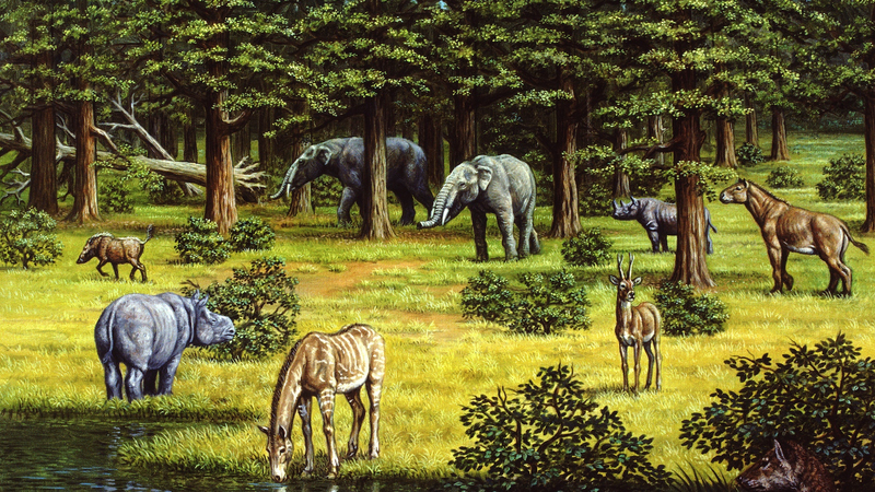 後期中新世の気候変動を加速させた「植生変化」とは何か