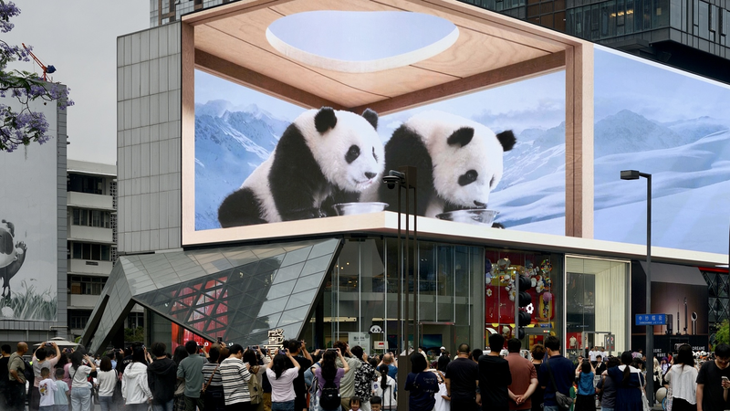 中国・四川省の消費拡大　経済成長が支える心地よい都市生活 video poster