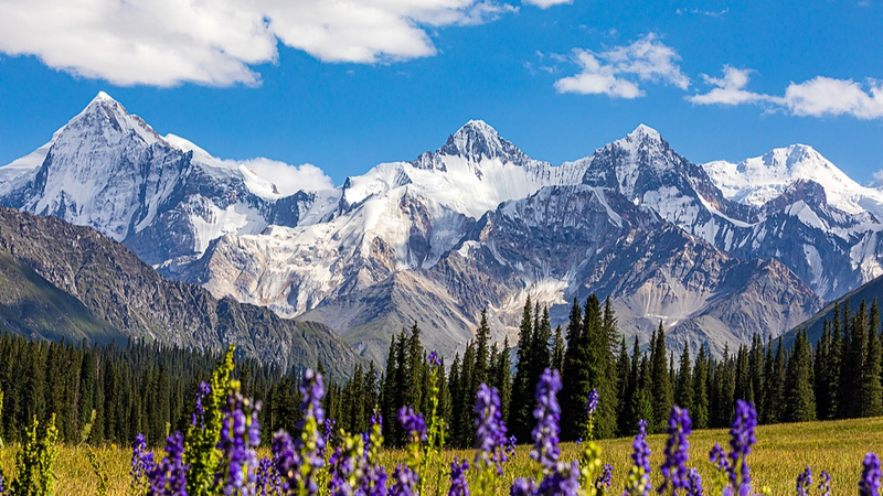 第1回新疆国際写真コンテスト　AIなしで「今」を切り取る挑戦 video poster