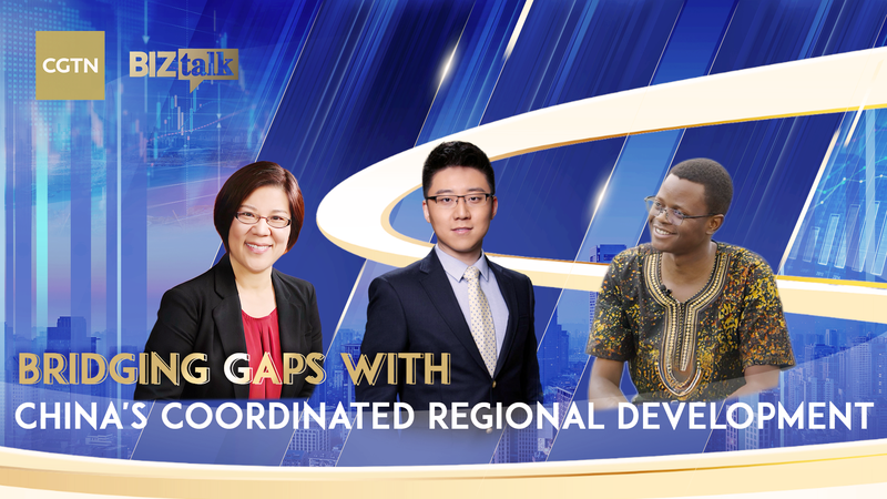 CGTN BizTalkに見る中国本土の地域協調発展と包摂的成長 CGTN BizTalkに見る中国本土の地域協調発展と包摂的成長 video poster