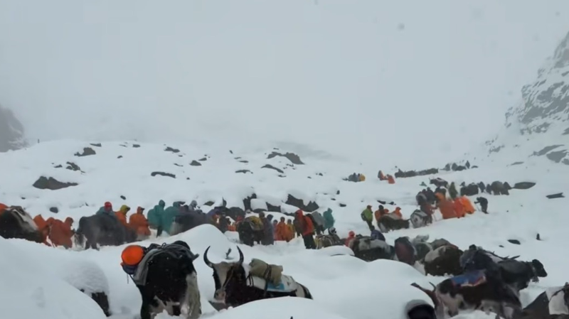 西蔵の大雪で足止めの登山者約580人が全員救出　地元当局が安全確認