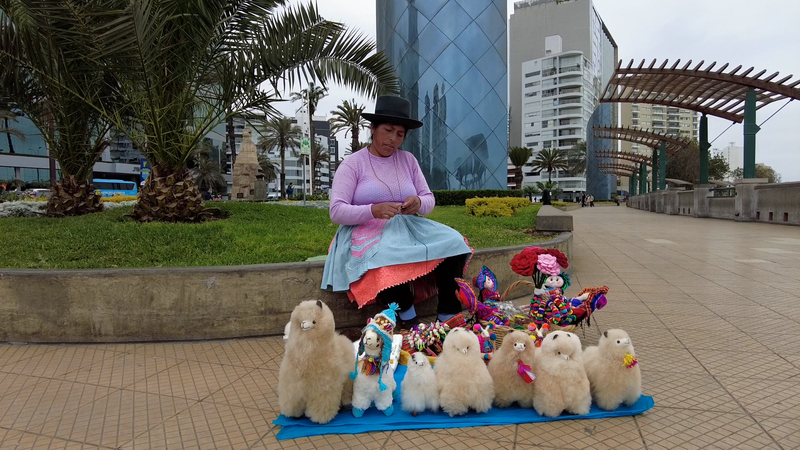 ペルーの愛されるアルパカを知る：文化と経済を支える存在 video poster