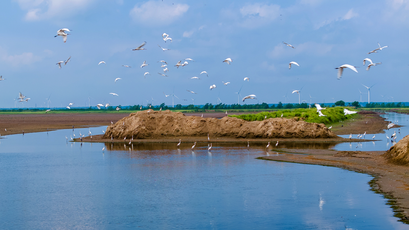 習近平氏の自然資源論述集が出版　中国の「人と自然の調和」を読む