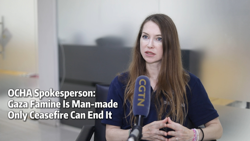 国連OCHA報道官「ガザの飢餓は人災、恒久停戦だけが解決策」 video poster